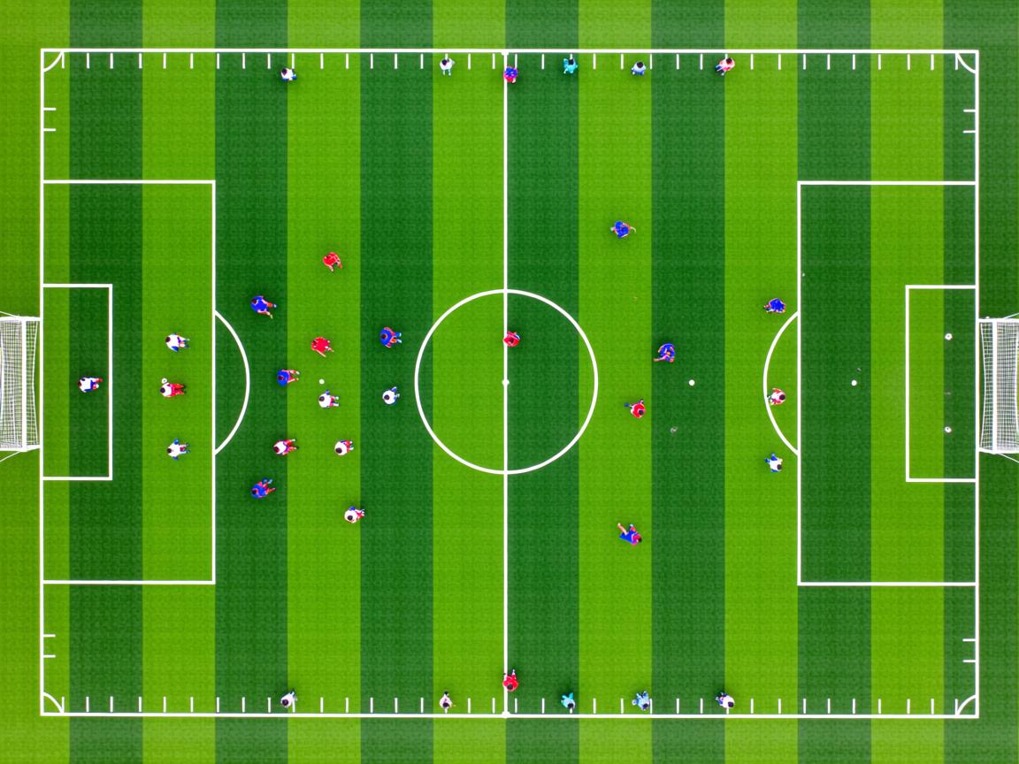 九游体育下载-体育志愿者表彰大会举行 讲述幕后故事，体育展示志愿者  第3张