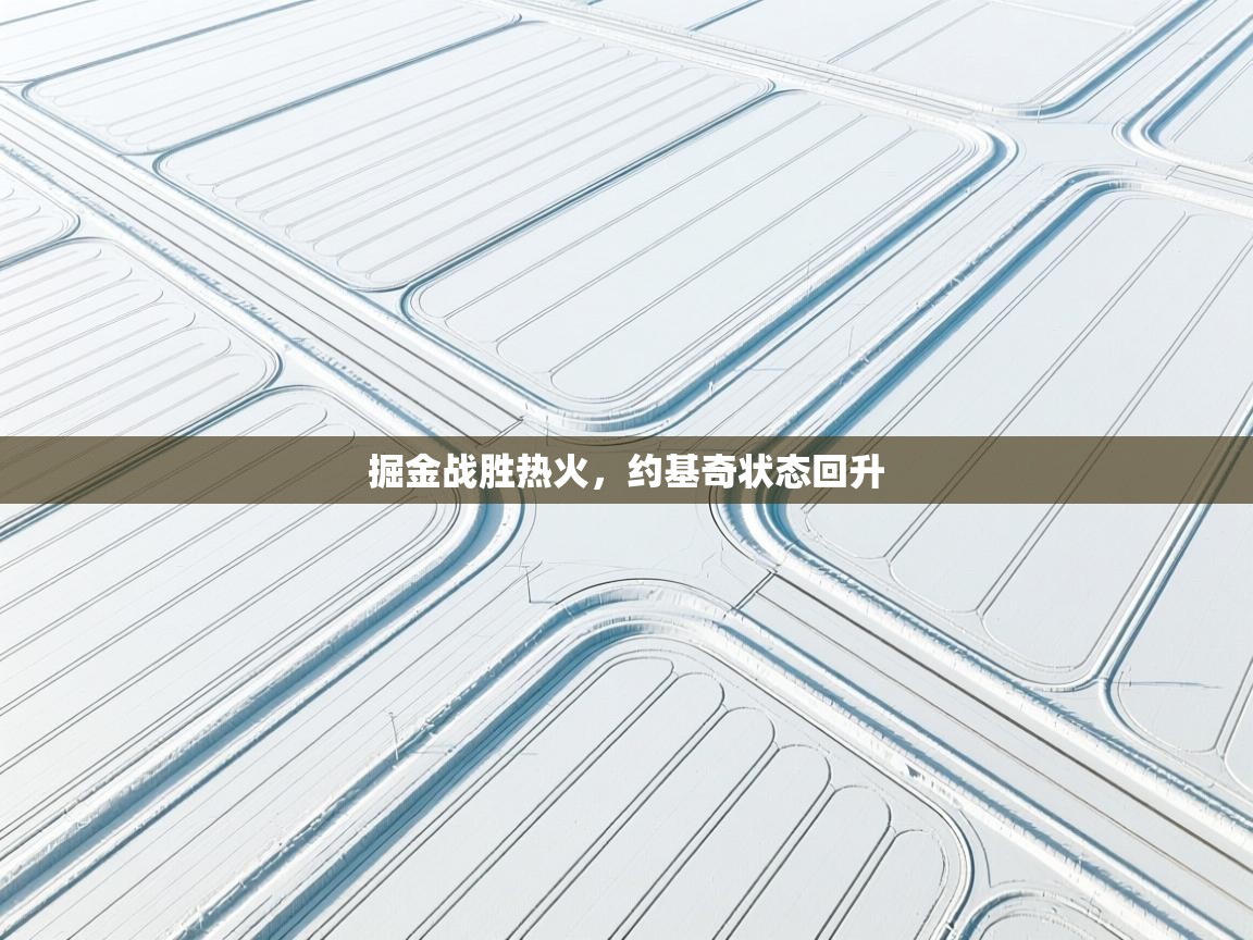 掘金战胜热火，约基奇状态回升  第2张